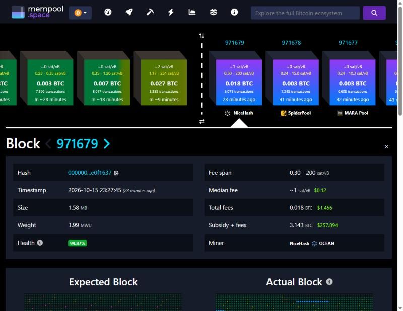A block page on mempool.space showing hash, timestamp, size, weight, fees, subsidy plus fees, and the miner